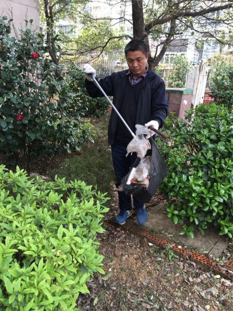 节造鼠害、预防疾病，构建和谐文化社区