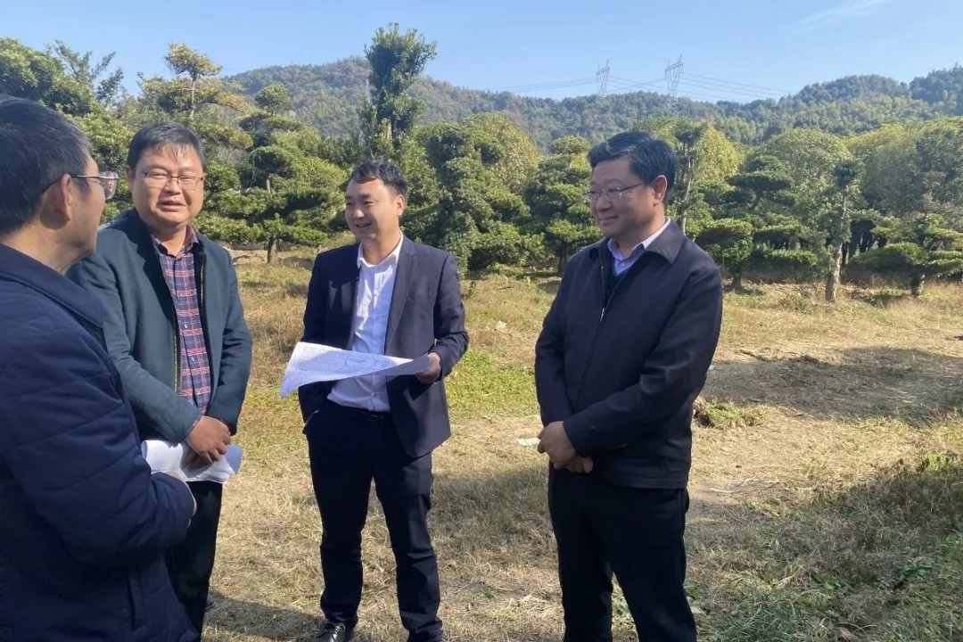 涂建平赴西二环高快项目和九洲高架东延项目现场调研领导工作